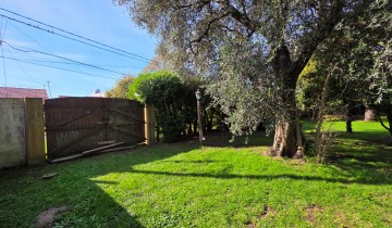 Lote 