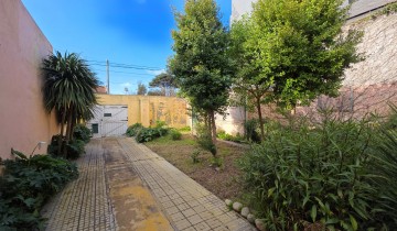 Lote 