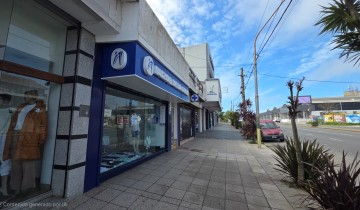 Local 