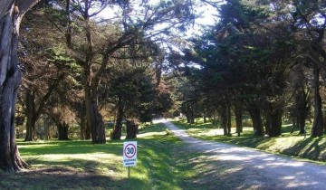 Lote 